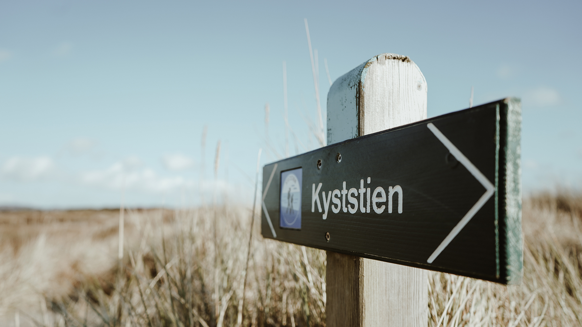 Lomsesanden Familiecamping Kyststien.jpg